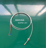 端面铂热电阻WZPM-201