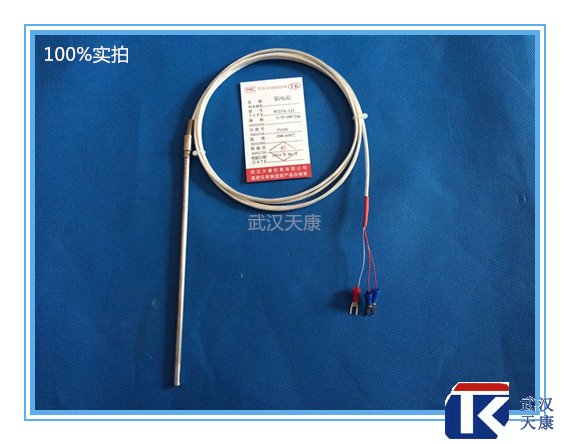 补偿导线式热电阻/WZPK-195/pt100热电阻
