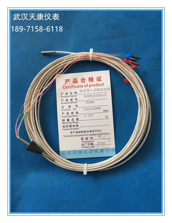 WZPQ-E32-15/WZPQ2-E32-15汽轮机用埋入式热电阻